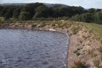 Lisvane Reservoir, Cardiff: Landscape & Water