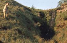 Nant Llysiog: geology & Landscape