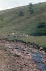 Nant Wern Ddu: landscape & water