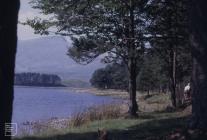 Neuadd Reservoir, Brecon Beacons : Landscape ...