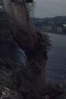 Pentwyn Reservoir: Plant/tree & Water