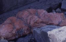 Penarth Head: Geology
