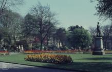 Cardiff, Alexandra Gardens: Plant/tree &...