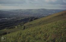 Craig yr Allt: Landscape