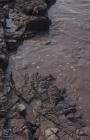 Flat Holm : Water & Geology