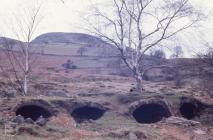 Quakers Yard: Industry & Landscape