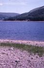 Pontsticill Reservoir, Merthyr Tydfil: Plant...