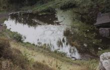 Glyncornel, Tonypandy: Landscape & water