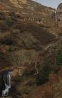 Cwm Lluest: Landscape & water