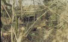 Radyr Weir, Cardiff: Landscape & Industry