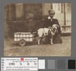 [Boy with dog & dogcart] [c.1853]