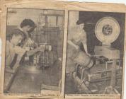 Photo: Newspaper article about the creamery, 1960s
