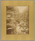 The River Taff Fechan 1870s 