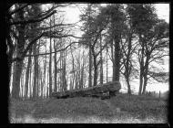 St Nicholas dolmen