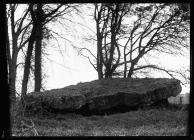 St Nicholas dolmen