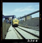 Locomotive at Oakdale Colliery 1981