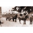 Gambo, horses and Mr. Alfred Rogers, c.1910.