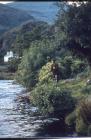 Inland Angling near Caerphilly Castle