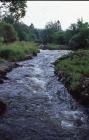 Genweirio Mewndirol ar Afon Glaslyn ger Beddgelert