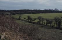 Cosmeston Lakes: Landscape