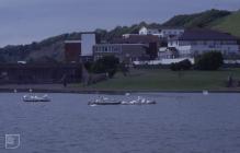 Knap Pool, Barry: Bird & Landscape