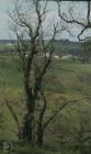 Cwm George, Dinas Powys: Landscape