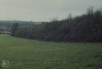 River Waycock: Landscape & Plant/tree