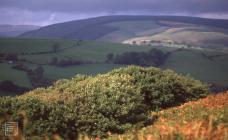 Allt y Rhiw, Blackmill: Landscape