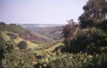 Old Castle Down: Landscape