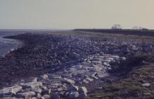 Marshfield, Newport: Landscape