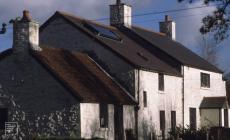 Forest Farm, Cardiff: Landscape & Forest Farm