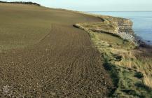 Llantwit Major: Landscape