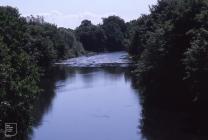 Taff River, Radyr: Landscape