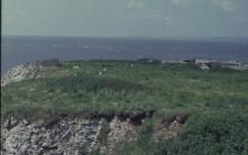 Flat Holm: Landscape & Thrift