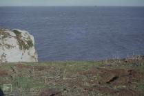 Flat Holm: Landscape & Mammal