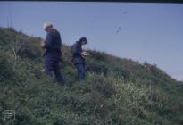 Flat Holm: Plant/tree & People