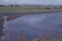 River Rhymney: Plant/tree & Landscape