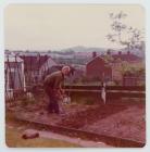 Gardening, Dart Road, Bettws