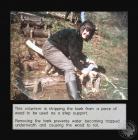 Photograph of a Cardiff Conservation Volunteer...