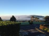 Misty morning at the National Library of Wales
