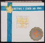 Betws y Coed Branch scrapbook