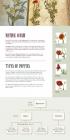 Types of Poppies