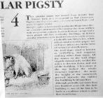 Description of pig sty.