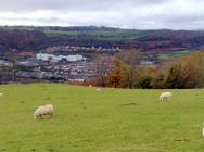 Brynfab (Thomas Williams), family and locality 