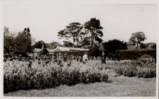 Old Hall Gardens Cowbridge