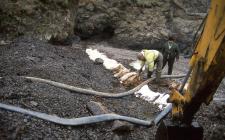 Cleaning crude oil off a Pembrokeshire beach...