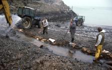 Cleaning crude oil of a beach following the...