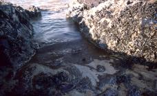Crude oil washing into a rock pool following...