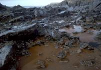 Crude oil filling rock pool at West Angle bay...