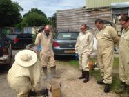 Beekeeper training provided by 'Natures...